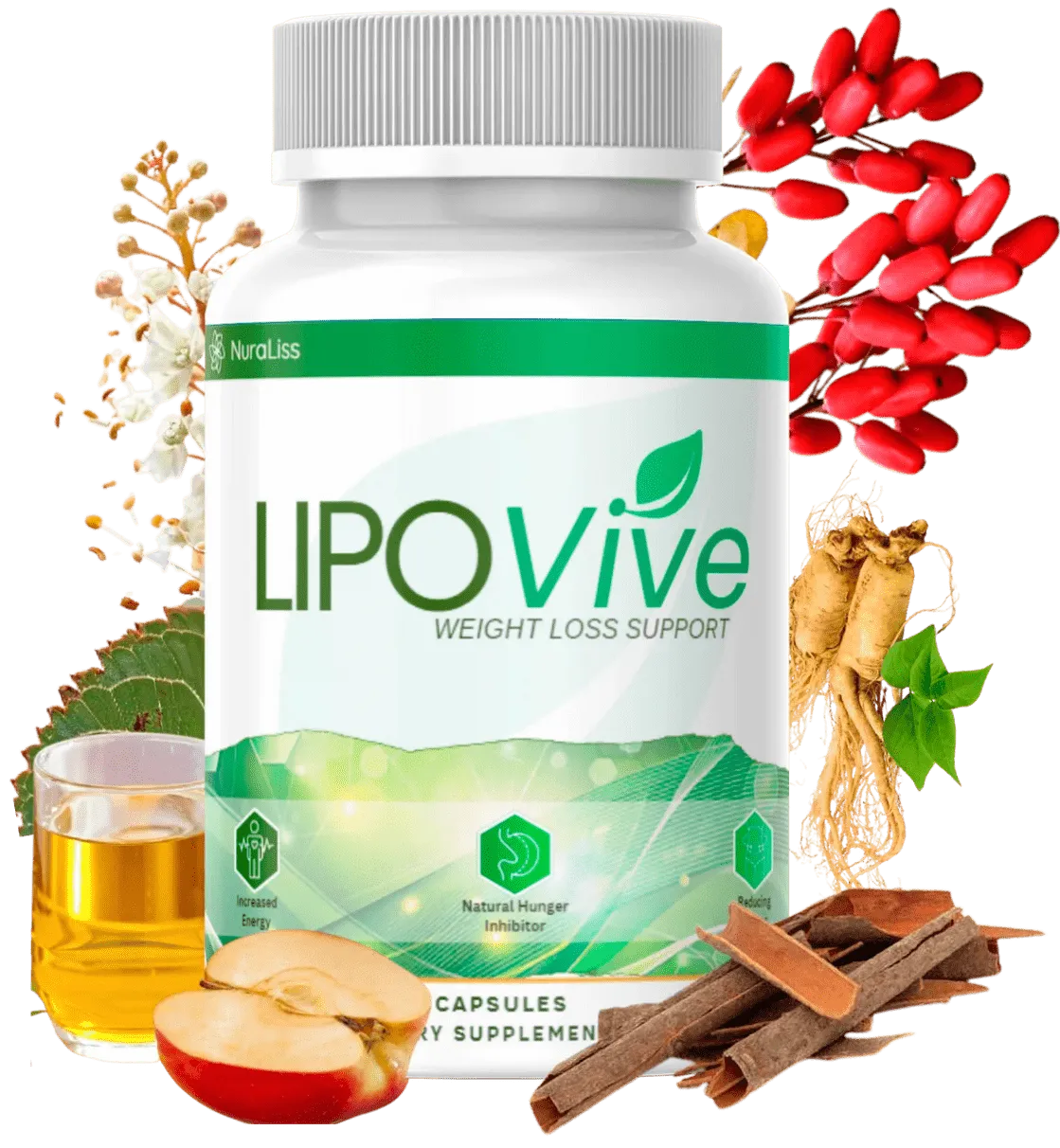 Lipovive  Supplement